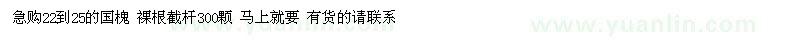求購(gòu)國(guó)槐