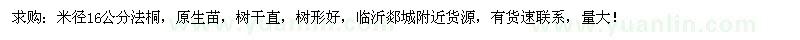 求購(gòu)法桐