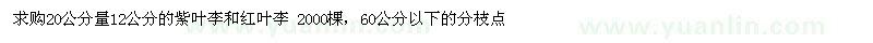 求購20公分量12公分紫葉李、紅葉李