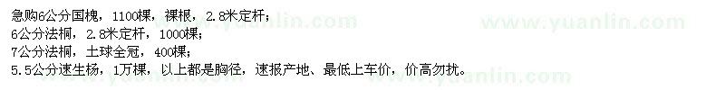 求購國槐、法桐、速生楊