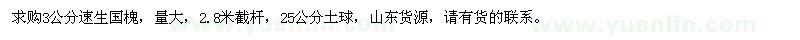 求購3公分速生國槐