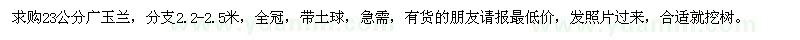 求購23公分廣玉蘭