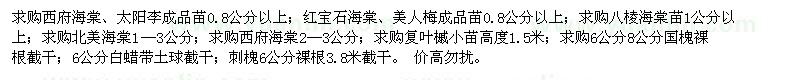 求購西府海棠、太陽李成品苗、紅寶石海棠、美人梅成品苗等