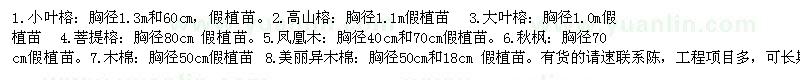 求購小葉榕、大葉榕、秋楓