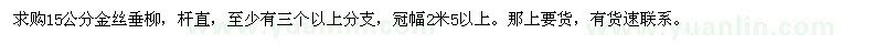 求購15公分金絲垂柳
