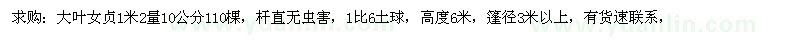 求購1.2米量10公分大葉女貞