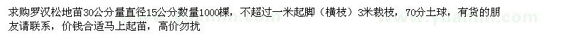 求購30公分量直徑15公分羅漢松地苗