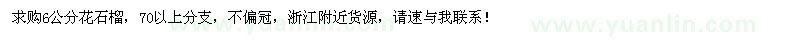 求購6公分花石榴　