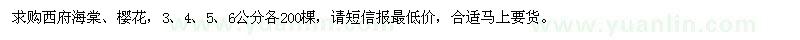 求購西府海棠、櫻花