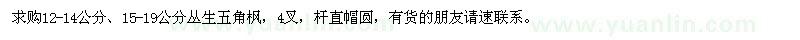 求購叢生五角楓