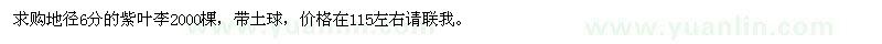 求購(gòu)地徑6分紫葉李