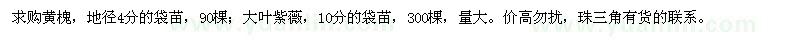 求購黃槐、大葉紫薇