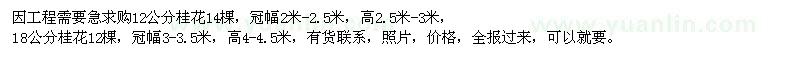 求購(gòu)12、18公分桂花樹