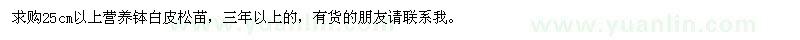 求購(gòu)25公分以上營(yíng)養(yǎng)缽白皮松苗