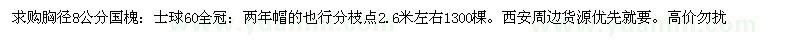 求購胸徑8公分國槐