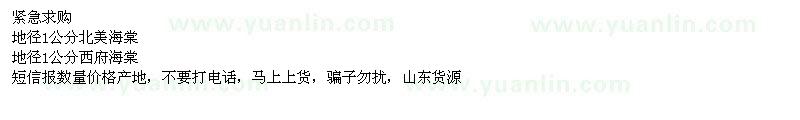 求購1公分北美海棠、西府海棠