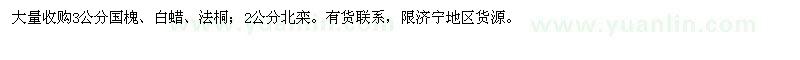 求購(gòu)國(guó)槐、白蠟、法桐、北欒
