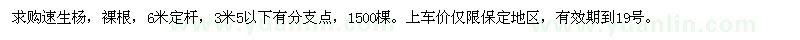 求購速生楊