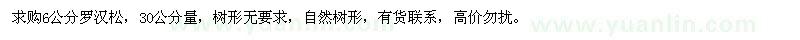 求購30公分量6公分羅漢松
