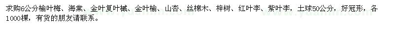求購6公分榆葉梅、海棠、金葉復(fù)葉槭