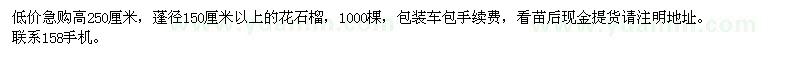 求購(gòu)高2.5米花石榴