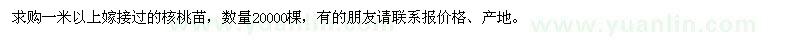 求購1米以上核桃苗