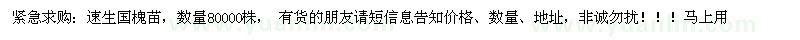 求購速生國槐小苗