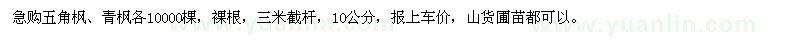 求購五角楓、青楓