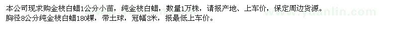 求購1公分金枝白蠟、胸徑8公分純金枝白蠟