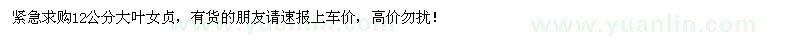 求購(gòu)12公分大葉女貞