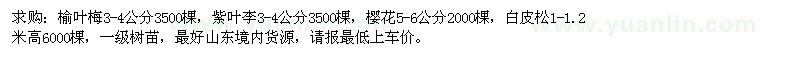 求購榆葉梅、紫葉李、櫻花、白皮松