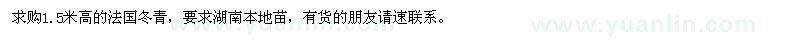 求購高1.5米法國冬青