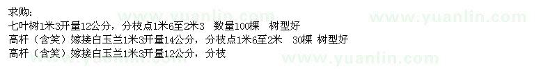 求購七葉樹、高桿嫁接白玉蘭