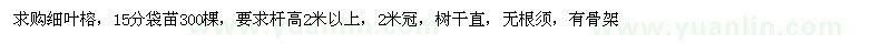 求購(gòu)15分袋苗細(xì)葉榕