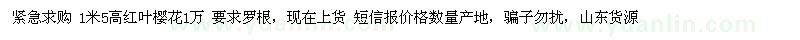 求購1米5高紅葉櫻花