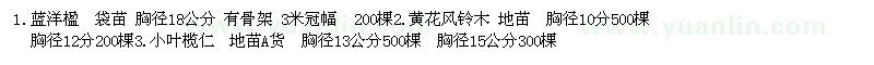 求購藍(lán)洋楹、黃花風(fēng)鈴木、小葉欖仁