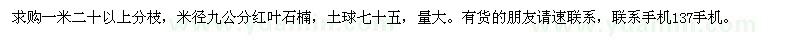 求購米徑9公分紅葉石楠