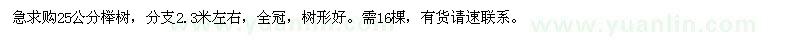 求購(gòu)25公分櫸樹(shù)
