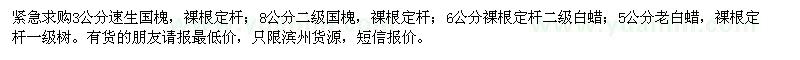 求購(gòu)國(guó)槐、白蠟