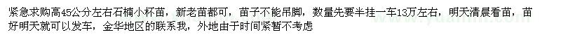 求購高45公分左右石楠小杯苗