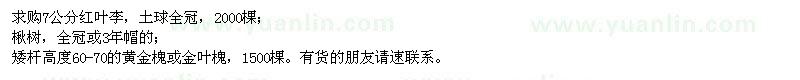 求購(gòu)紅葉李、楸樹、黃金槐