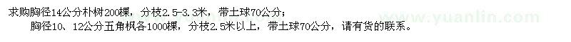 求購胸徑14公分樸樹、胸徑10、12公分五角楓