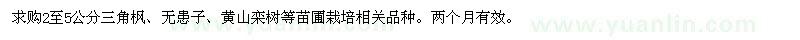 求購(gòu)三角楓、無(wú)患子、黃山欒樹(shù)