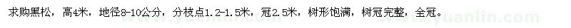求購高4米黑松