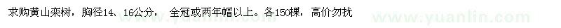 求購胸徑14、16公分黃山欒樹