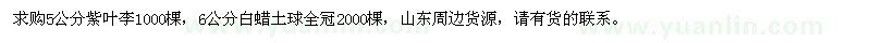 求購(gòu)5公分紫葉李、6公分白蠟