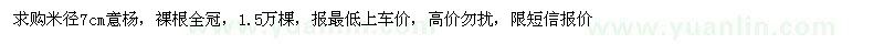 求購米徑7公分意楊