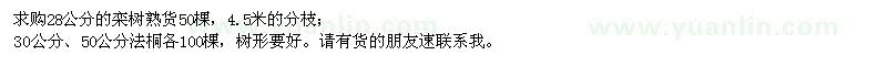求購28公分欒樹熟貨、30、50公分法桐