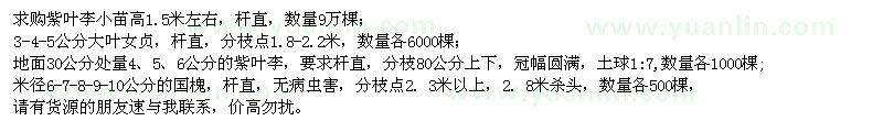 求購紫葉李、大葉女貞、國槐