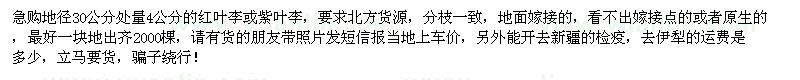 求購(gòu)地徑30公分處量4公分紅葉李、紫葉李